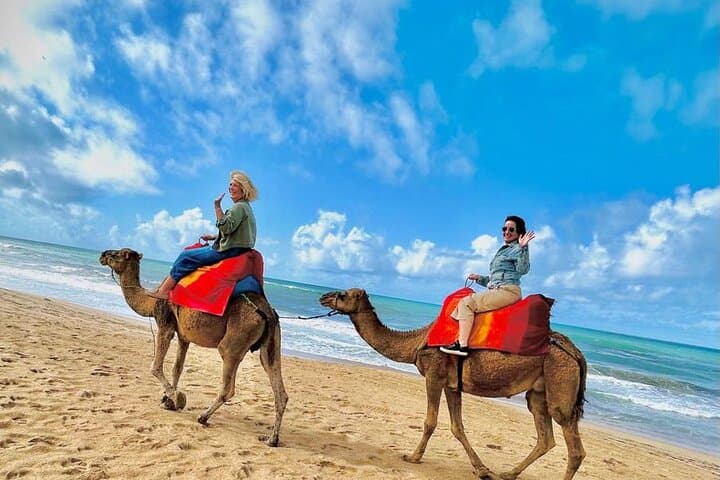 Private Tangier Highlights: Medina, Cap Spartel & Camel Ride (Half-Day) photo 6