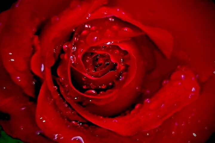 Paris Seine Valentine Dinner Cruise with Live Cabaret & Dancing photo 2