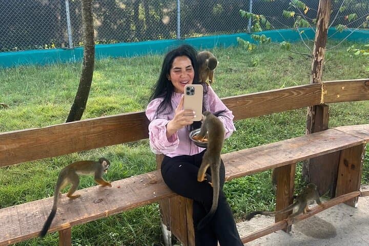 Puerto Plata Monkey Sanctuary & Cultural Garden Tour: Squirrel Monkeys, Coffee & Cocoa Tasting photo 2