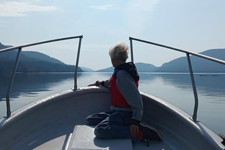 Campbell River Whale Watching: Private Tours to Orcas & Humpbacks photo 5