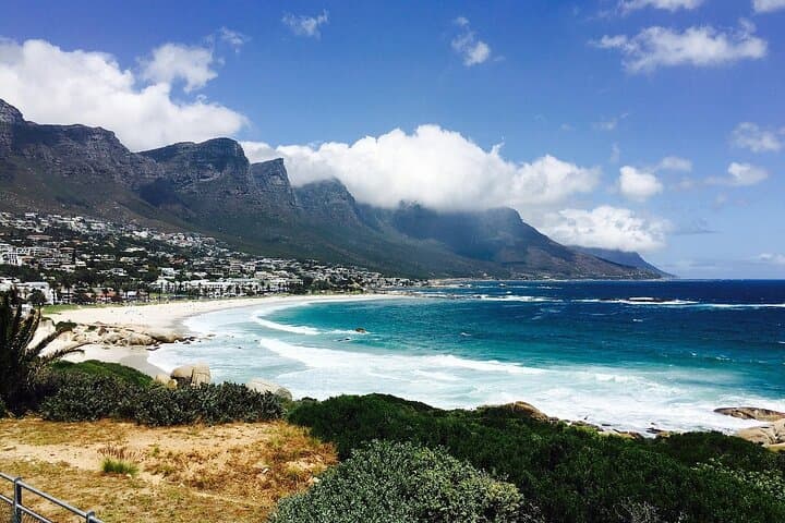 Cape Peninsula Full-Day Tour — Chapman’s Peak, Cape Point & Penguin Colony photo 6