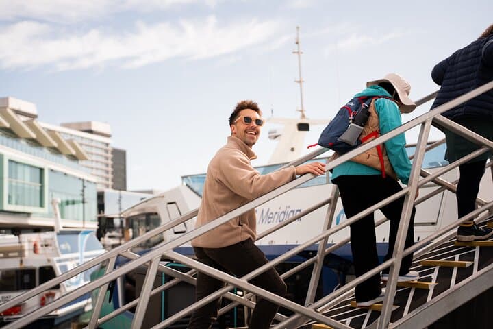 Wellington Harbour Electric 90-Minute Cruise — Zero-Emissions Sightseeing photo 3