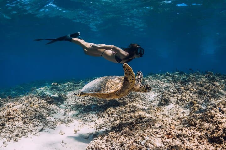 St. Thomas Sail & Snorkel: Lindbergh Bay to Lime Out VI