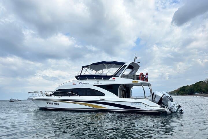 Komodo One-Day Speedboat: Padar Summit, Pink Beach & Manta Snorkel photo 4