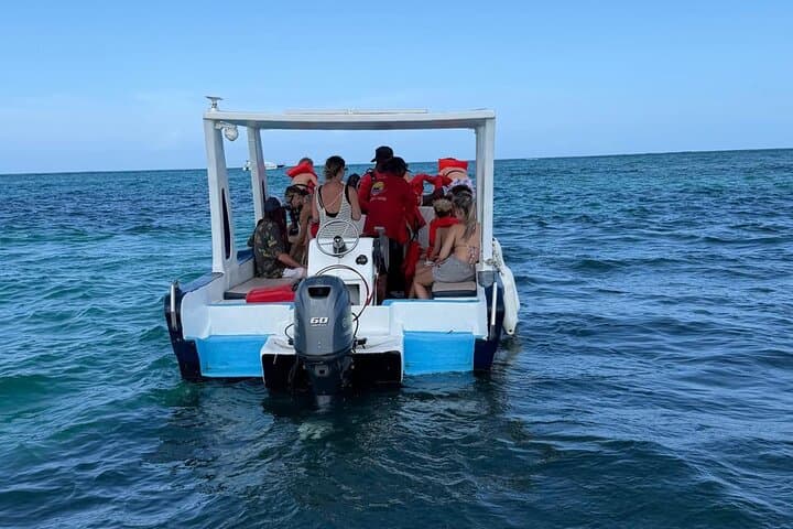 Glass-Bottom Boat & Snorkel: Punta Cana Coastline and Natural Pool photo 5