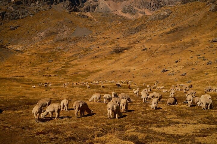 Hike Ausangate’s 7 Lakes and Soak in Pacchanta: Full-Day Guided Trek from Cusco photo 5
