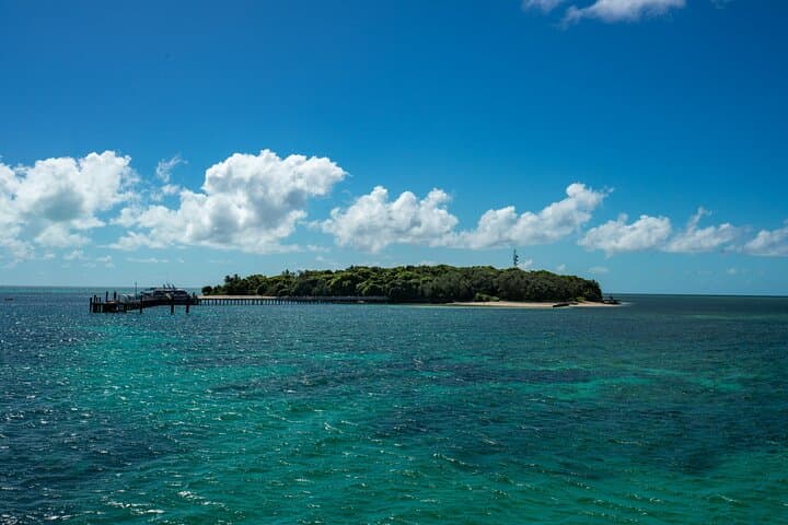 Full-Day Whale Watching and Cayo Levantado (Bacardi Island) from Punta Cana photo 6