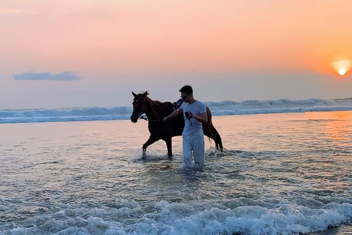 Sunset Horseback Riding in Seminyak Bali: Beach Ride with Free Pickup