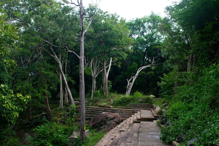 Ritigala Forest Monastery Nature Walk: Ancient Ruins & Misty Mountain Trails photo 3