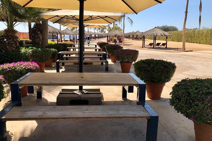 Sheraton Red Sea Resort Day Access: Snorkel Jeddah’s Coral Gardens photo 3