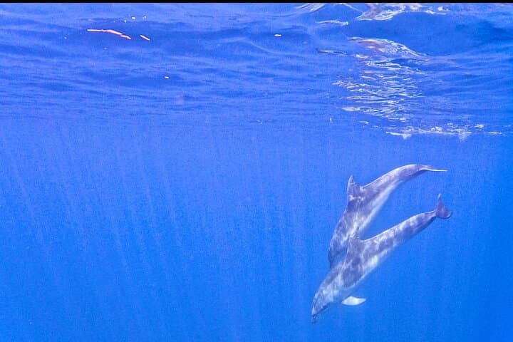 Sail Tavolara & Molara Marine Protected Area: Snorkel Molara's Pools and Enjoy an Aperitif photo 3