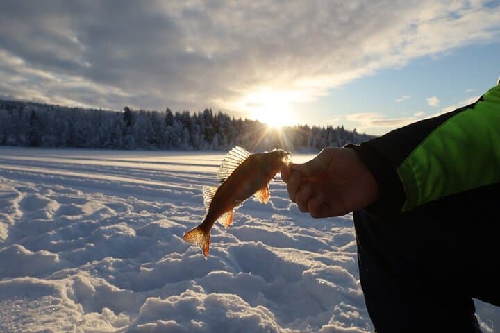 Ice Fishing & Winter BBQ in the Finnish Wilderness — Snowshoe to a Rovaniemi Lake photo 4