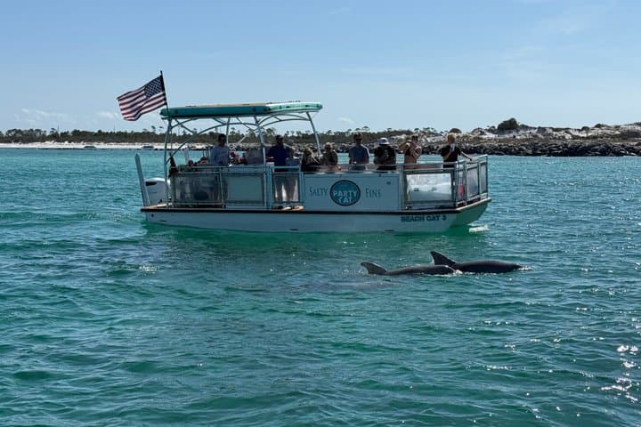 Dolphin Sightseeing & Shell Island Snorkel Tour — Panama City Beach Adventure